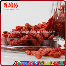 Goji frutas goji bagas gnc de goji com baixo pasiticide